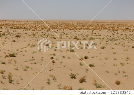 Vast desert scene in Jowzjan Province, Afghanistan, with sandy terrain and sparse plants Vast desert scene in Jowzjan Province, Afghanistan, with sandy terrain and sparse plants 121883842