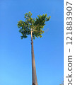 village on coast 121883907