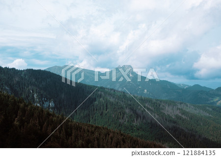 Panorama of beautiful countryside of Poland. Sunny afternoon. Wonderful springtime landscape in mountains. Grassy field and rolling hills. rural scenery Panorama of beautiful countryside of Poland. Sunny afternoon. Wonderful springtime landscape in mountains. Grassy field and rolling hills. rural scenery 121884135