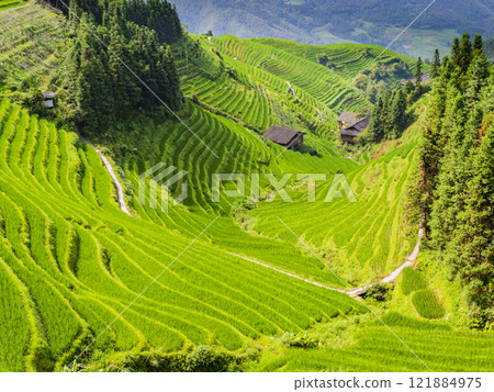 Terraced rice fields around Longji village, Longsheng county, Guilin, Guangxi, China Terraced rice fields around Longji village, Longsheng county, Guilin, Guangxi, China 121884975