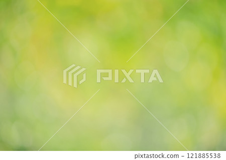 Natural background defocus light green. Blurred greenery 121885538
