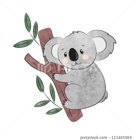 Cute cartoon koala isolated on white. Vector watercolor illustration Cute cartoon koala isolated on white. Vector watercolor illustration 121885864