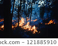 Forest fire in the night 121885910