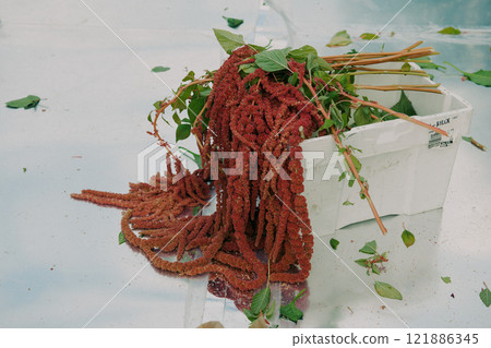 A white container filled with red yarn and green leaves A white container filled with red yarn and green leaves 121886345