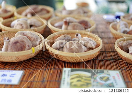 Shiitake mushrooms for sale at the Sunday market 121886355