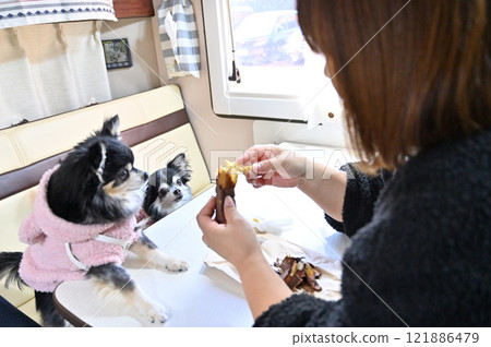A woman eating a snack with her dog (inside a camper van) A woman eating a snack with her dog (inside a camper van) 121886479
