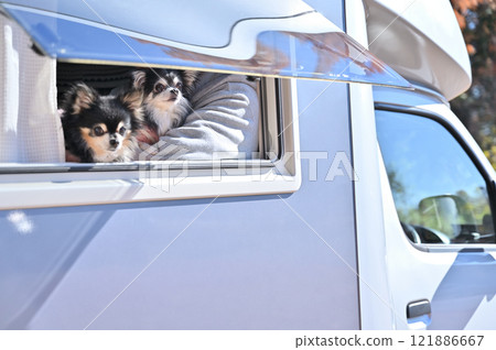 一個男人帶著他心愛的狗（一件長外套吉娃娃）坐在露營車裡旅行 121886667