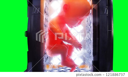 Growing a fetus, baby in a futuristic capsule. genetic engineering concept. 3d rendering 121886737