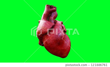 infarct, heart contraction, green screen. 3d rendering. infarct, heart contraction, green screen. 3d rendering. 121886761
