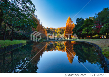 大越文化公園的秋天 121887558