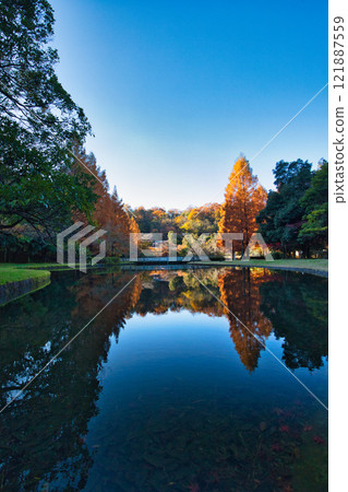 Autumn at Osagoe Culture Park Autumn at Osagoe Culture Park 121887559