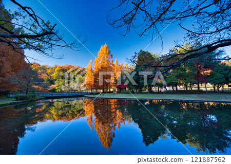 Autumn at Osagoe Culture Park 121887562
