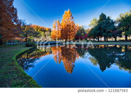 Autumn at Osagoe Culture Park 121887563