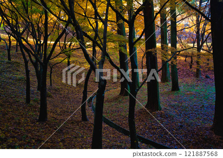 大越文化公園的秋天 121887568