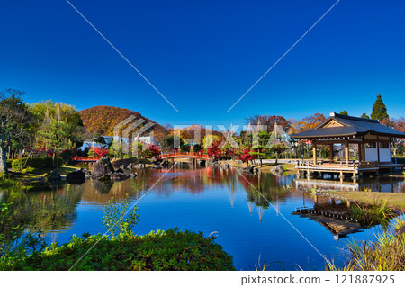 紫式部公園的秋葉 紫式部公園的秋葉 121887925