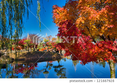 Murasaki Shikibu Park with autumn leaves Murasaki Shikibu Park with autumn leaves 121887928