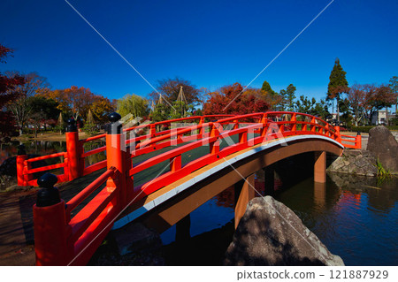 紫式部公園的秋葉 紫式部公園的秋葉 121887929