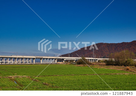 Murasaki Shikibu Park with autumn leaves 121887943