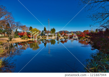 Murasaki Shikibu Park with autumn leaves Murasaki Shikibu Park with autumn leaves 121887944