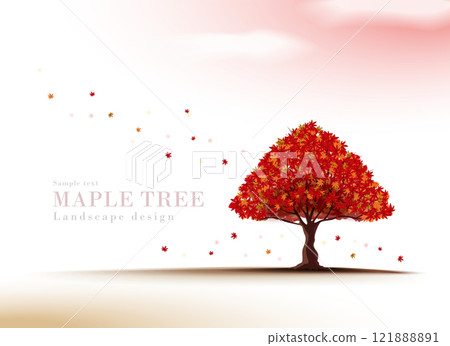 一棵楓樹的寫實插圖，秋天的葉子明亮，站在草地上，夜空廣闊| 121888891