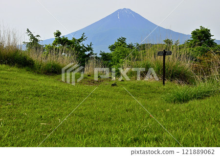 Misaka Mountains - View of Mt. Fuji in early summer from Oishi Pass on the grassland 121889062