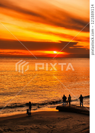 從七里濱海灘欣賞江之島的夜景 121889114