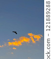 Evening sky and crows 121889288