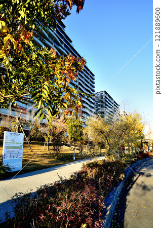 Tokyo Harumi Flag and Harumi Greenway Park, a view of high-rise apartment buildings Tokyo Harumi Flag and Harumi Greenway Park, a view of high-rise apartment buildings 121889600