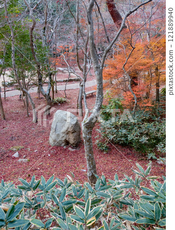 Late autumn foliage at Zuihoji Park in Arima Onsen, Kobe Late autumn foliage at Zuihoji Park in Arima Onsen, Kobe 121889940