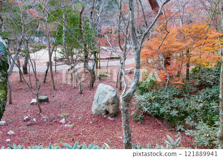 Late autumn foliage at Zuihoji Park in Arima Onsen, Kobe Late autumn foliage at Zuihoji Park in Arima Onsen, Kobe 121889941