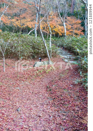 Late autumn foliage at Zuihoji Park in Arima Onsen, Kobe Late autumn foliage at Zuihoji Park in Arima Onsen, Kobe 121889944