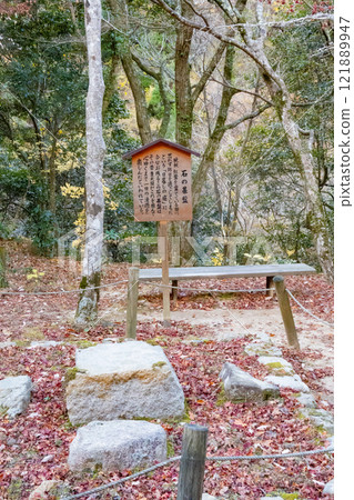 神戶市有馬溫泉瑞鳳寺公園的深秋紅葉 神戶市有馬溫泉瑞鳳寺公園的深秋紅葉 121889947