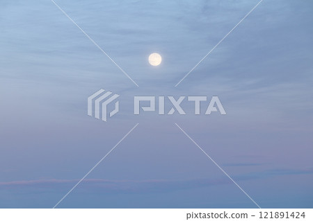 海狸月亮 海狸月亮 121891424