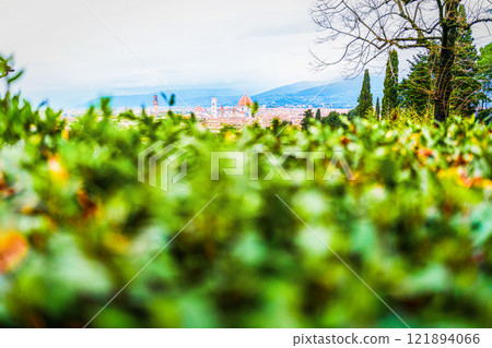 Panoramic view of Florence from a garden 121894066