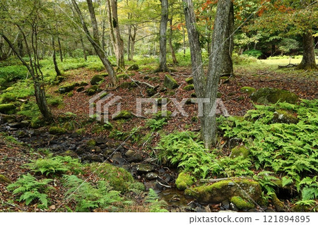 秋季峰山高原 秋季峰山高原 121894895