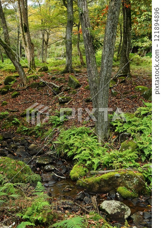 秋季峰山高原 秋季峰山高原 121894896