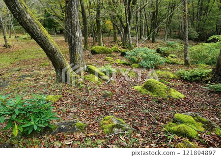 秋季峰山高原 秋季峰山高原 121894897
