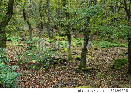 秋季峰山高原 秋季峰山高原 121894898