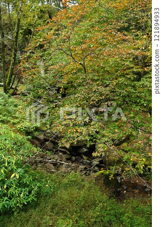 Mineyama Plateau in Autumn 121894933
