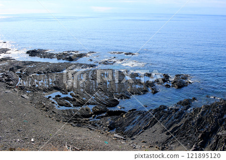 有裸露珊瑚礁的岩石海岸 121895120