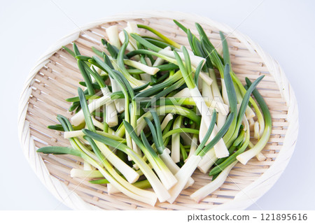 Chives in a colander 121895616