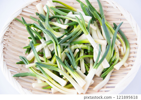 漏勺中的朝月 121895618