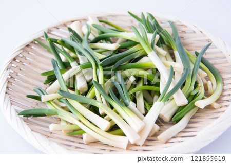 漏勺中的朝月 121895619