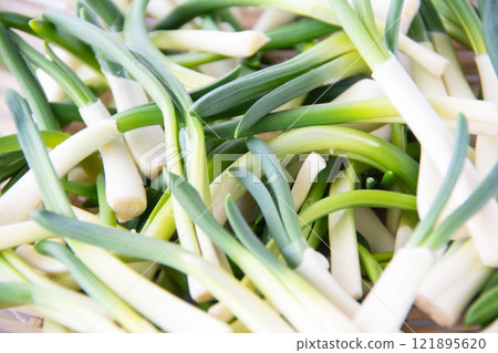 漏勺中的朝月 121895620