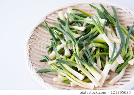 漏勺中的朝月 121895623