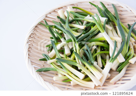 漏勺中的朝月 121895624