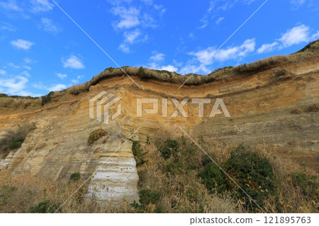 Dover of Senbogaura Oriental Dover of Senbogaura Oriental 121895763