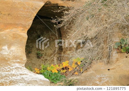 Dover of Senbogaura Oriental Dover of Senbogaura Oriental 121895775