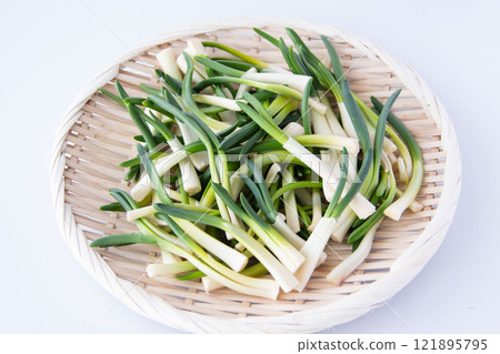 漏勺中的朝月 121895795