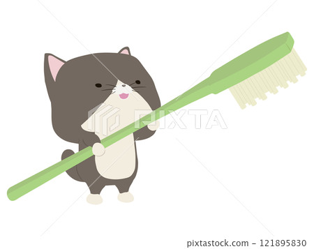 Smiling brown-and-white cat holding a toothbrush Smiling brown-and-white cat holding a toothbrush 121895830